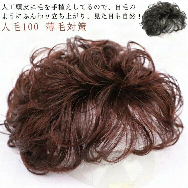 白髪隠し 薄毛対策 ウィッグ ナチュラル 自然 フルウィッグ 薄毛 ウィッグ付き ウィッグスタンド 男女兼用 人毛100 部分ウィッグ かつら ブラック ヘアピース トップカバー ポイントウィッグ 通気性 ブラウン 簡単 頭頂部カバー