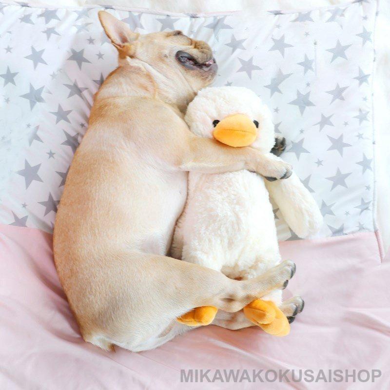 商品情報発声可能腹が発声装置を搭載し、犬が噛む時に音が出る。天然素材で作られたため、ご安心ください。歯の清潔犬の歯にぴったりのディザイン、より良い清潔効果が出ます。可愛いデザインワンちゃんが噛むと音が出で、ワンちゃんの注意力を集め、もっとも楽しめます。ペットのストレスを解消します。発声装置につきましてS高さ23cm、お腹の一ヶ所しかありません;M高さ35cm、お腹と両手の三ヶ所にあります。