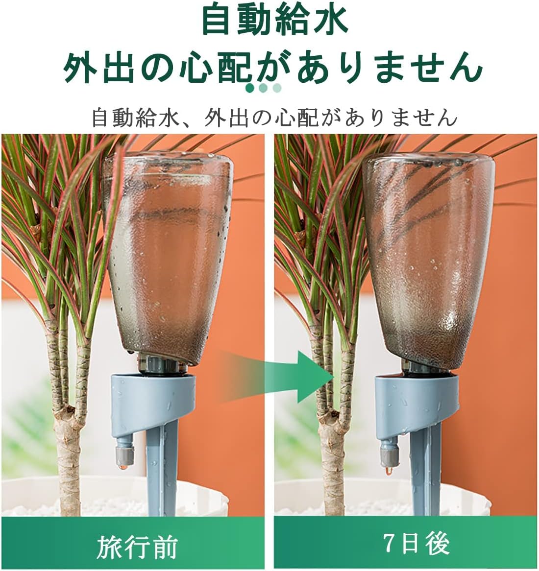 自動水やり 水やり当番 自動給水キャップ 二重チャネル 水やり自動 目詰まり防止自...