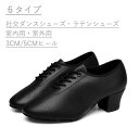 【送料無料】社交ダンスシューズ ダンスシューズ ダンス シューズ ティーチャーズ 本革 ヒール 疲れない メンズ モダン ジャズ 社交ダンス 靴 初心者 上級者...