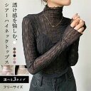 シースルー ブラウス 長袖 レディース シアー インナー 透け感 シアーシャツ 3タイプ シャツブラウス ハイネック カットソー メロー フリル レース トップ...