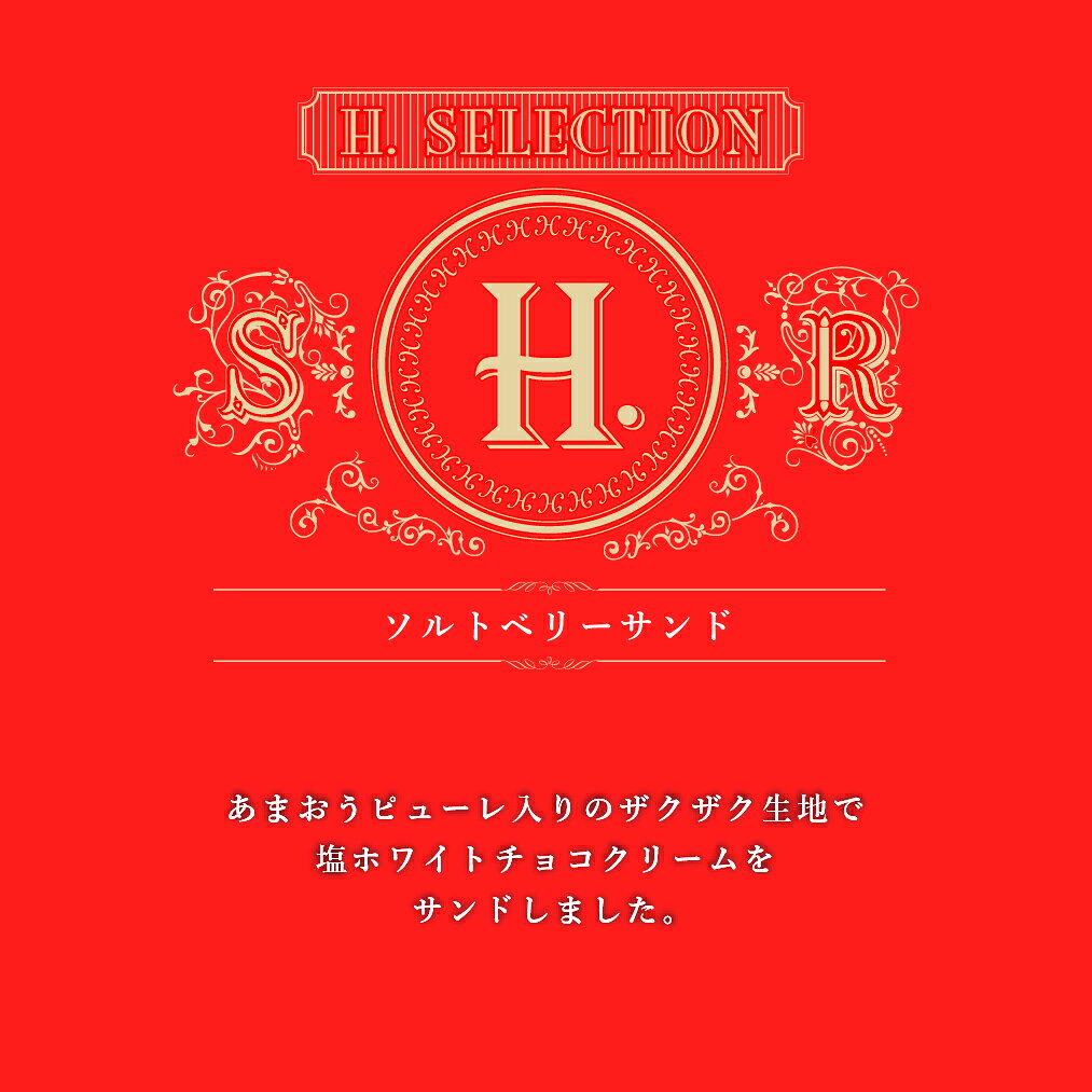 H. ソルトベリーサンド 8個入 塩チョコ クッキー 個包装 東京土産 Y2K 平成 高級感...