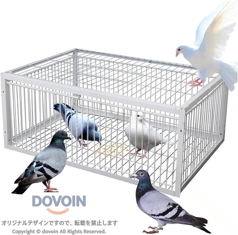 鳩 捕獲器 自動 片道 入口 付き 脱出 防止 設計 屋外 鳩 かご 鳩 捕り 籠 鳥 かご 鳩 罠 ポータブル 4 輸入 鉄製 ケージ 捕獲 捕獲装置 捕獲器具 捕獲機 鳥避け 鳩よけ 鳩駆除 鳩対策 鳩捕り