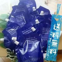 洗濯用洗剤海へ…詰替パック(450ml・90回分)