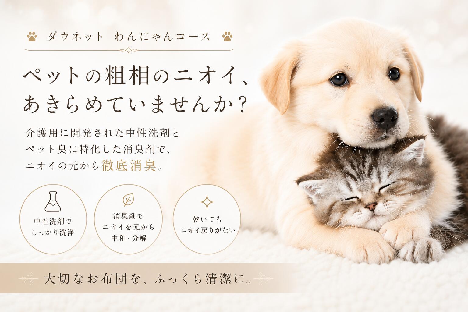 ＼＼ 羽毛布団 クリーニング 専門店 ／／ 【乾いてもニオイ戻りしにくい】 ペット ...