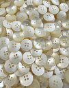 貝調ボタン 4つ穴 シャツボタン 300個入り 外径18mm #d20