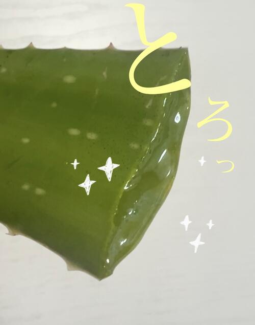 �����ڿ��ѡۥ������٥�2���������������Ĥ򤽤Τޤޡ� ���٤�륢����