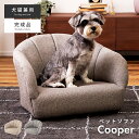 \ 10%OFFクーポンすぐ使える! / 座椅子 座面高15.5cm ペットソファ おしゃれ 座イス 座いす 北欧 フロアチェア ペット ソファ 犬 猫 シンプル うさぎ ドッグ キャット かわいい 背もたれ 幅55 コンパクト 完成品 グレー アイボリー 脚付き 愛犬 愛猫 共有 低い