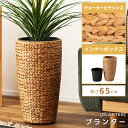 \ 10%OFFクーポンすぐ使える / 【Lサイズ】プランター ウォーターヒヤシンス 鉢植え 植木ポット 花器 植木容器 植木箱 園芸 インテリア おしゃれ 花台 丸型 円形 ラウンド 軽量 9号 完成品 幅37cm 高さ65 ナチュラル 植物 かわいい 韓国インテリア アジアンテイスト