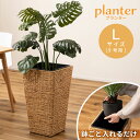 \ 10%OFFクーポンすぐ使える / 【Lサイズ】プランター ウォーターヒヤシンス 鉢植え 植木ポット 花器 植木容器 植木箱 園芸 インテリア おしゃれ 花台 角型 9号 完成品 幅37cm 高さ65.5cm ナチュラル 自然派 植物 かわいい 韓国インテリア アジアンテイスト 送料無料