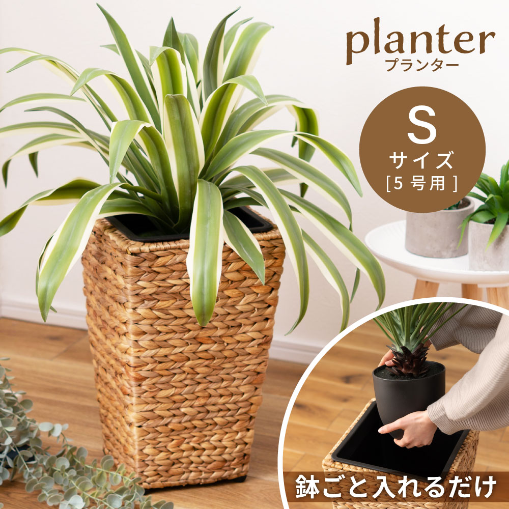 10%OFFݥ Sۥץ󥿡 ҥ䥷 ȭ ڥݥå ִ ƴ Ȣ  ƥꥢ...