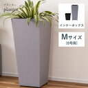 \ 10%OFFクーポンすぐ使える / プランター 植木鉢 8号用 おしゃれ モダン シンプル グリーンポット 鉢植え セメント仕上げ Sサイズ インナーボックス ボックス 四角 軽量 軽い 送料無料