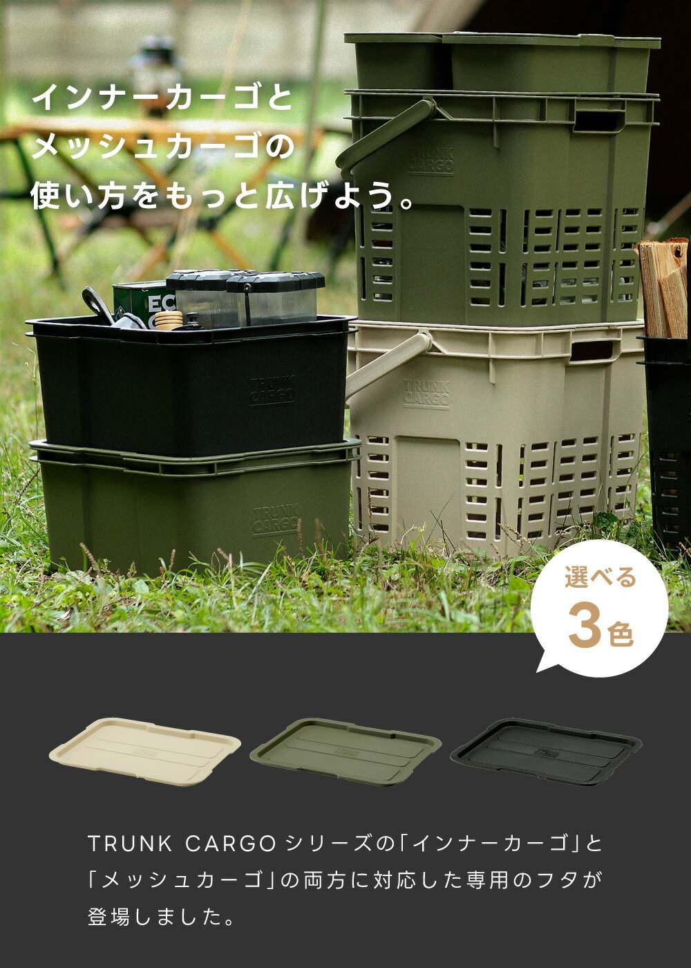 �����ѥե��Τߡۥ���ʡ������� ��å��奫���� ���ѥե� TC-R9T �ե��Τ� ���Τ� �ȥ�󥯥����� ��Ǽ������ ��ǼȢ ��Ǽ�ܥå��� �ץ饹���å� ������ �����ȥɥ� ������ ������� �֥�å� �� �١����� ���������꡼�� ������