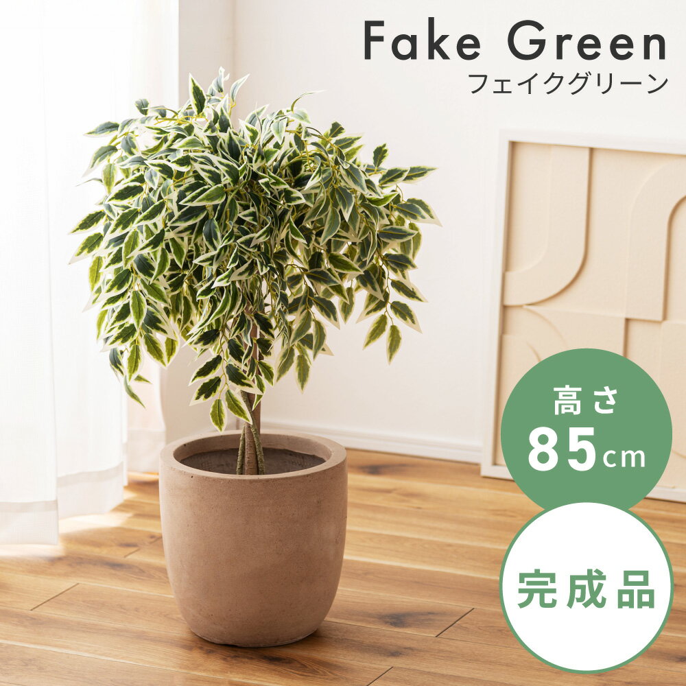 Benjamin - フェイクグリーン ベンジャミン グリーン 人工観葉 観葉植物 インテリア リーフ 癒し 植物 お手入れ簡単 完成品 単品販売 カフェ おしゃれ シンプル