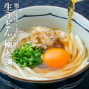 エントリーでポイント10倍!さらにポイント10倍 1000円 送料無料 ポッキリ! 讃岐生うどん9食セット 【極太麺】 (麺300g×3袋 ) 麺のみ 香川県 ...
