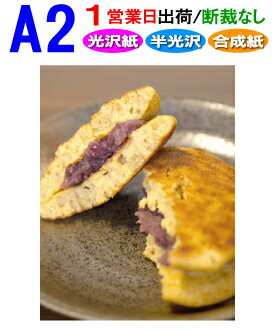 A2【ポスター印刷】1枚 光沢 半光沢 合成紙 ...の商品画像