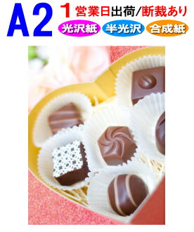 A2【ポスター印刷】1枚 光沢 半光沢 合成紙 1営業日目出荷(急ぎ・早い)/化粧断裁を含む高画質 大判 ポスター 印刷 出力 激安 展示会