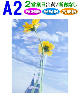 A2【ポスター印刷】1枚 光沢 半光沢 合成紙 2営業日目出荷【化粧断裁しない】高画質 大判 ポスター 印刷 出力 激安 展示会