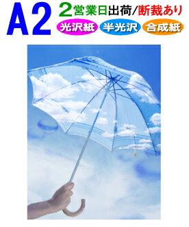 A2【ポスター印刷】1枚 光沢 半光沢 合成紙 ...の商品画像