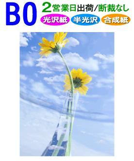 B0【ポスター印刷】1枚 光沢 半光沢 合成紙 2営業日目出荷【化粧断裁しない】高画質 大判 ポスター 印刷 出力 激安 展示会