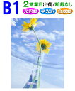 B1【ポスター印刷】1枚 光沢 半光沢 合成紙 2営業日目出荷(標準・安い)【化粧断裁しない】高画質 大判 ポスター 印刷 出力 激安 展示会
