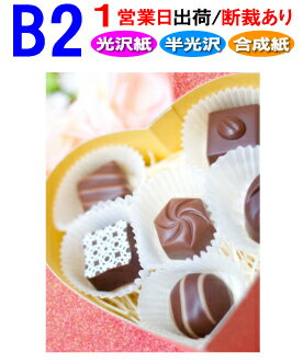 B2【ポスター印刷】1枚 光沢 半光沢 合成紙 1営業日目出荷(急ぎ・早い)/化粧断裁を含む高画質 大判 ポスター 印刷 出力 激安 展示会