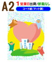 A2【ポスター印刷】1枚 コート紙(マット調)1営業日目出荷(急ぎ・早い)【化粧断裁しない】※ご注意/色の濃い部分で用紙が波を打ちます|詳細画像