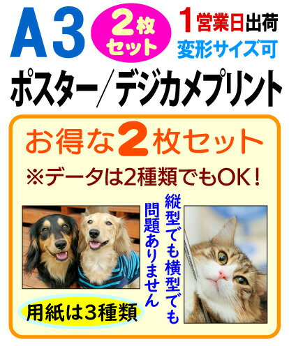◆ポスター印刷の専門店だから出来るインクジェットによる高画質プリント。 ◆1セット（2枚組）から注文できるから、とっても便利でお得。しかも格安！ご入稿のデータが1点（同じものを2枚）でも2種類でも同額です。 ◆安すぎて仕上がりは・・・なんて...