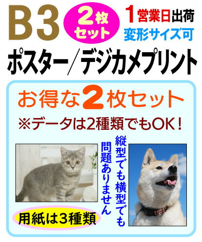 ◆ポスター印刷の専門店だから出来るインクジェットによる高画質プリント。 ◆1セット（2枚組）から注文できるから、とっても便利でお得。しかも格安！ご入稿のデータが1点（同じものを2枚）でも2種類でも同額です。 ◆安すぎて仕上がりは・・・なんて...