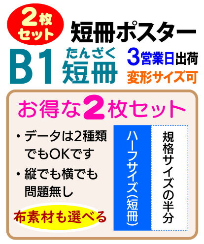 ◆ポスター印刷の専門店だから出来るインクジェットによる高画質プリント。 ◆1セット（2枚組）から注文できるから、とっても便利でお得。しかも格安！ご入稿のデータが1点（同じものを2枚）でも2種類でも同額です。 ◆安すぎて仕上がりは・・・なんて...