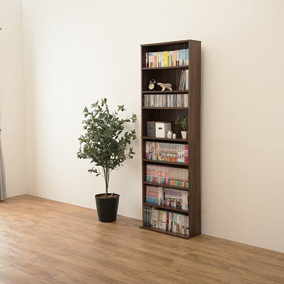 ��1/5 ��Ź����P5�ܢ��ץ���ȥ꡼���ڥ᡼����ľ���ۡ�����Բġۡ����������Բġۡ��̳�ƻ�����졦Υ���Բġ��븶 �֥å�������� �֥饦�� ��60cm ��Ω�� ��ê RCC-1177BR��KK9N0D18P��