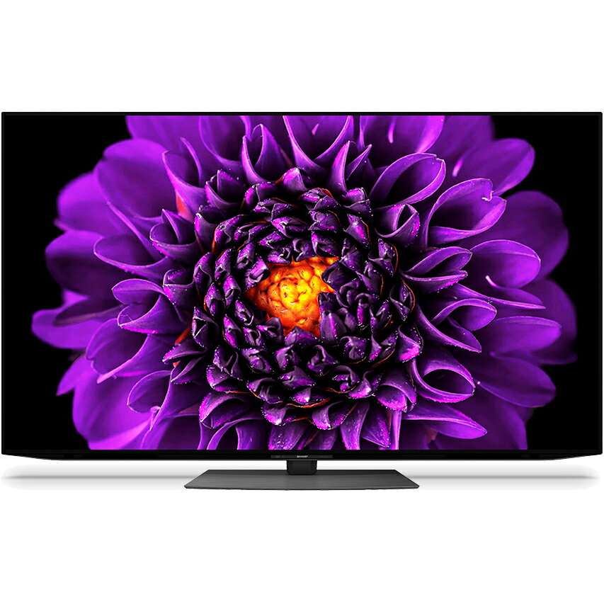 ＼7/1はエントリーでP4倍＆最大2000円クーポン開催／4K有機ELテレビ 65V型 シャープ AQUOS(アクオス) OLED DS1ライン 4T-C65DS1 SHARP