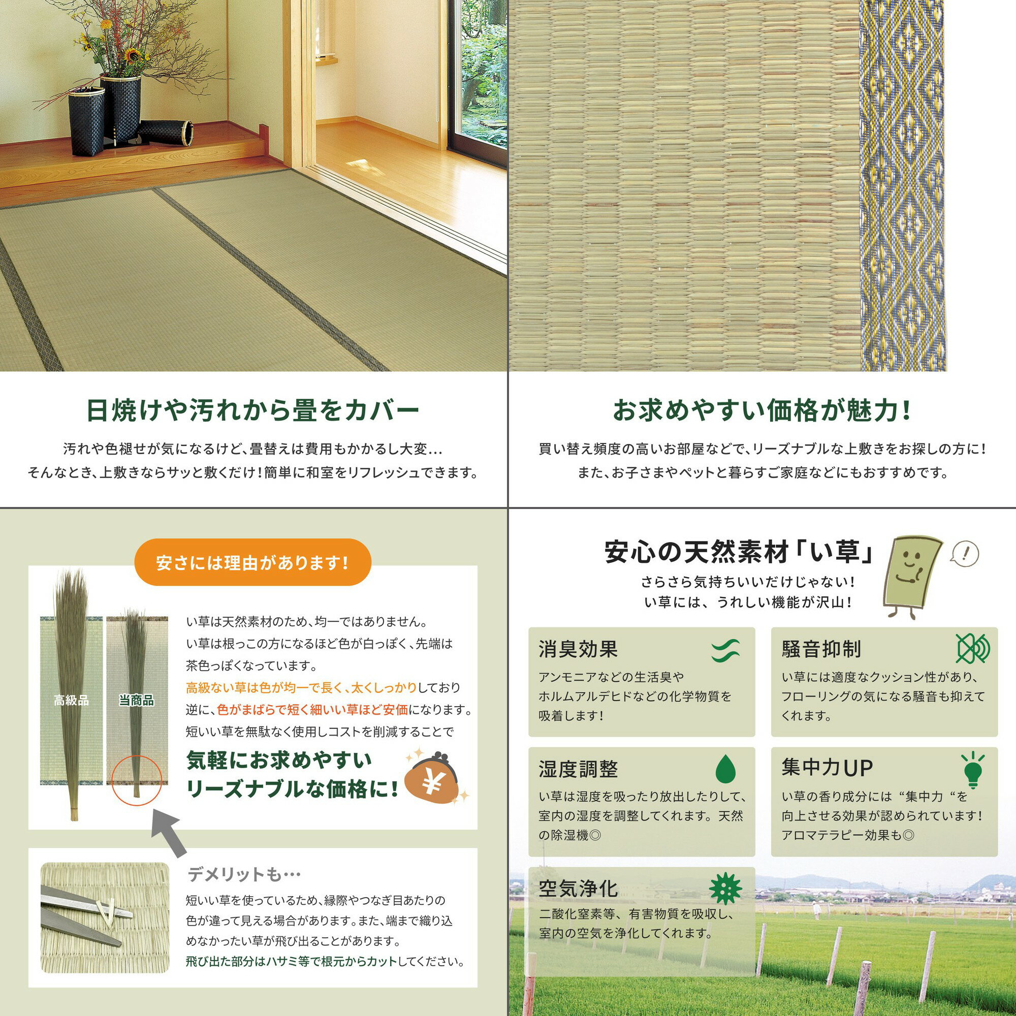 【代引不可】双目織 い草上敷き 団地間8帖 約340×340cm 萩原 柳川(やながわ) 159067780 【メーカー直送】【日時指定不可】【北海道・沖縄・離島不可】 [2]