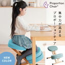 \7/25 当店最大P6倍※要エントリー/【メーカー直送】【代引不可】【日時指定不可】【北海道・沖縄・離島不可】プロポーションチェア 背筋矯正 組立式 ライトナチュラル脚 宮武製作所 ライトグリーン CH-N889CK-NTLGR