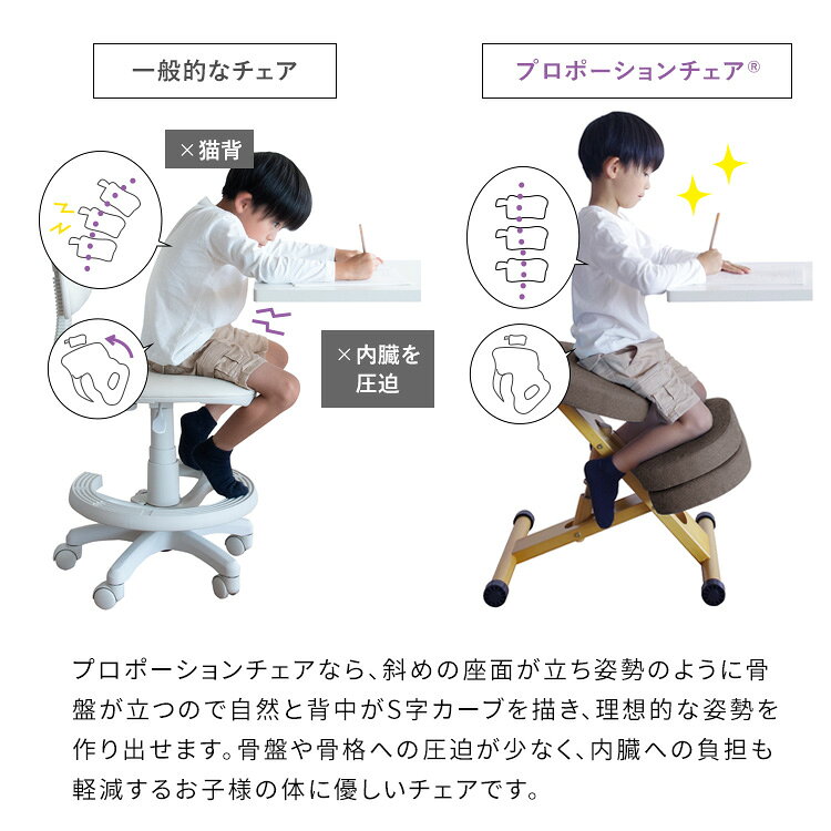 【メーカー直送】【代引不可】【日時指定不可】【北海道・沖縄・離島不可】プロポーションチェア 背筋矯正 組立式 ライトナチュラル脚 宮武製作所 ネイビー CH-N889CK-NTNV [2]