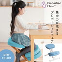 \7/5 当店最大P6倍※要エントリー/【メーカー直送】【代引不可】【日時指定不可】【北海道・沖縄・離島不可】プロポーションチェア 背筋矯正 組立式 ホワイト脚 宮武製作所 ライトブルー CH-N889CK-WHLBL【KK9N0D18P】