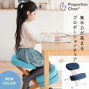 \7/20 当店最大P5倍※要エントリー/【メーカー直送】【代引不可】【日時指定不可】【北海道・沖縄・離島不可】プロポーションチェア 背筋矯正 組立式 ホワイト脚 宮武製作所 ネイビー CH-N889CK-WHNV【KK9N0D18P】