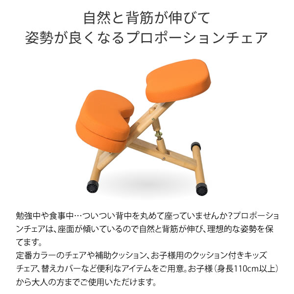 【メーカー直送】【代引不可】【日時指定不可】【北海道・沖縄・離島不可】プロポーションチェア 背筋矯正 組立式 ホワイト脚 宮武製作所 ライトブルー CH-N88W-WHLBL [2]