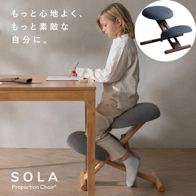 【メーカー直送】【代引不可】【日時指定不可】【北海道・沖縄・離島不可】プロポーションチェア 背筋..