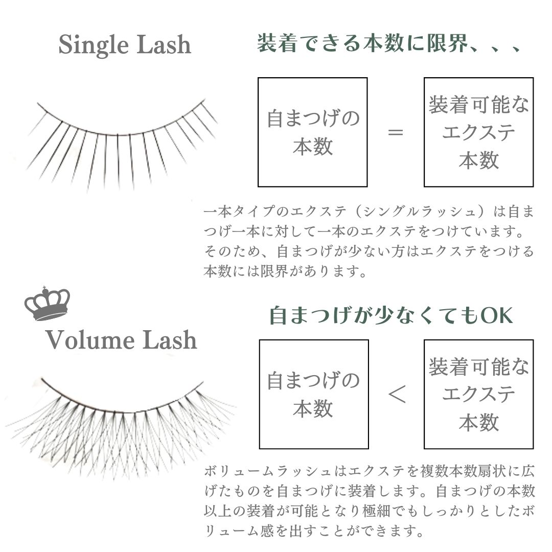 �ܥ�塼���å��� ����0.05mm��VOLUME LASH��PERRY LASH �ܥ�塼���å��� �ޤĤ��������� ������ J C CC L Ĺ��6mm-15mm �ޤĤ��������� �ܥ�塼���å��� �ޤĥ��� ����� �դ��ޤ��� ���å� ���å� ��̳�� ������å��� �ޤ��ӥѡ��� Perry lash �ޤĤ� ��������