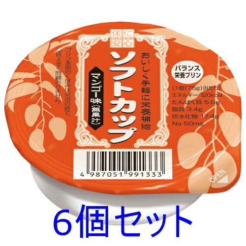 キッセイ薬品工業株式会社ソフトカップマンゴー味75g6個のポイント対象リンク