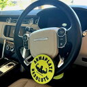 【EU】 盗難防止装置 ハンドルロック Armaplate Resolute Gold ステアリングホイールロック アーマプレイトステアリングとブレーキを無効に...