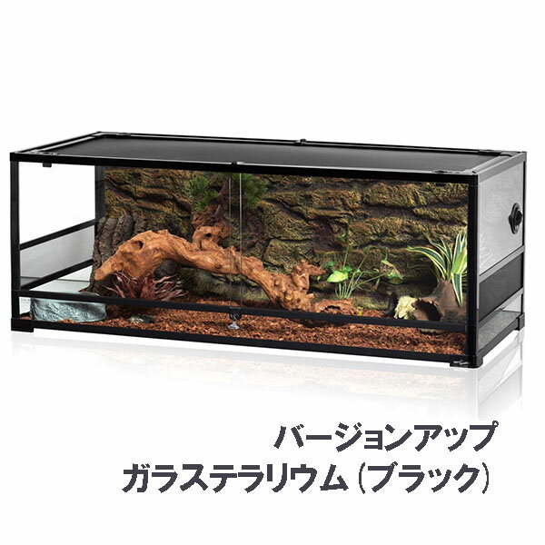 �ڤ����󤻾��ʡ�12����16���ָ�����ͽ�� ����� ��²�� �緿�ƥ�ꥦ�� ����������� ��Ǽ����ӥͥå� ���饱���� Ʃ�� �֥�å� ����� ���饱�����Τ� ����ӥͥåȤΤ� 67������ �ѵ��� �ƥ�ꥦ�ॹ����� ��Ǽê ���������ƥ�ꥦ���ѡ����������֤���