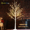 ★最短14日でお届け★ LEDライト付きバーチツリー 照明付きツリー 6フィート フェアリーライト付き クリスマス ホリデー ウェディング ホーム ルームデコレ...