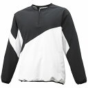【送料無料】【SSK エスエスケイ】【ウェア】野球 グランドコート クロストレーニング 長袖ハーフZIP BWC1902 (9010) ブラック×ホワイト メン...