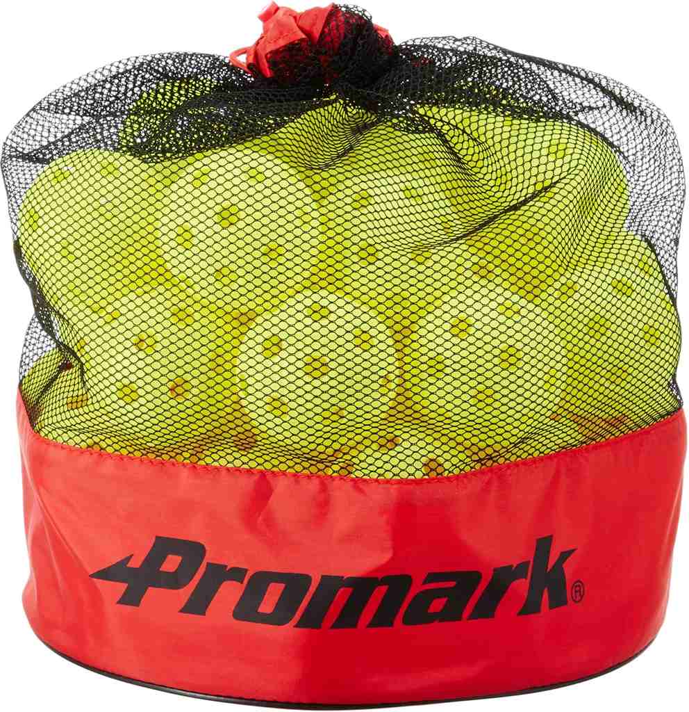 ★室内の練習に最適！バッティング上達練習球★【 プロマーク PROMARK 】【 トレーニング用品 】 野球 バッティング上達練習球 50球入 セット 穴あき バッティング 練習 ボール 練習球 安全 やわらか 軽い 飛ばない 屋内 室内 サクライ HTB50 HTB-50 [ten][251129][amz]