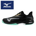 ★クレー/砂入り人工芝コート用★【2025年秋冬モデル】【 ミズノ MIZUNO 】【シューズ 靴】 テニスシューズ ウエーブエクシード 6 ワイド OC メン...