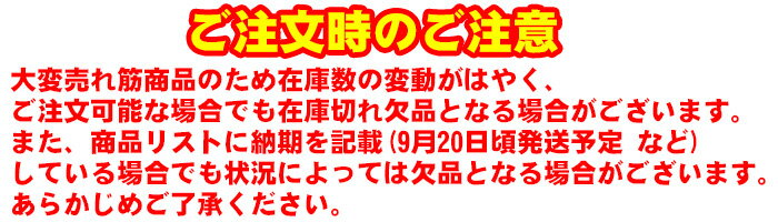【メール便送料無料】激安練習着!チーム用にまとめ買い♪★【wundou ウンドウ(フロリダウインド)】【ウェア】サッカー ジュニア ハーフパンツ サッカーパンツ P-8001 P8001 売れ筋人気商品 部屋着 クリスマス プレゼント通販セール サッカー 用品 セール
