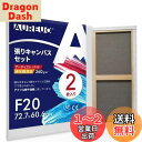 AUREUO 張りキャンバス セット F20 (72.7cmX60.6cm) 中目 綿化繊混紡 2枚 初心者 絵画用具 芸術絵創作 現代油絵 美術装飾 水彩画・...