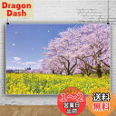 Qinunipoto 写真撮影用 背景布 2.1m x 1.5m 商品 撮影 布 写真撮影 背景 日本 春景色 青空 菜の花 桜 和風 撮影用道具 生放送 写真撮影用背景布 飾り 背景紙 背景? 布背景 装飾 小道具 ビニール